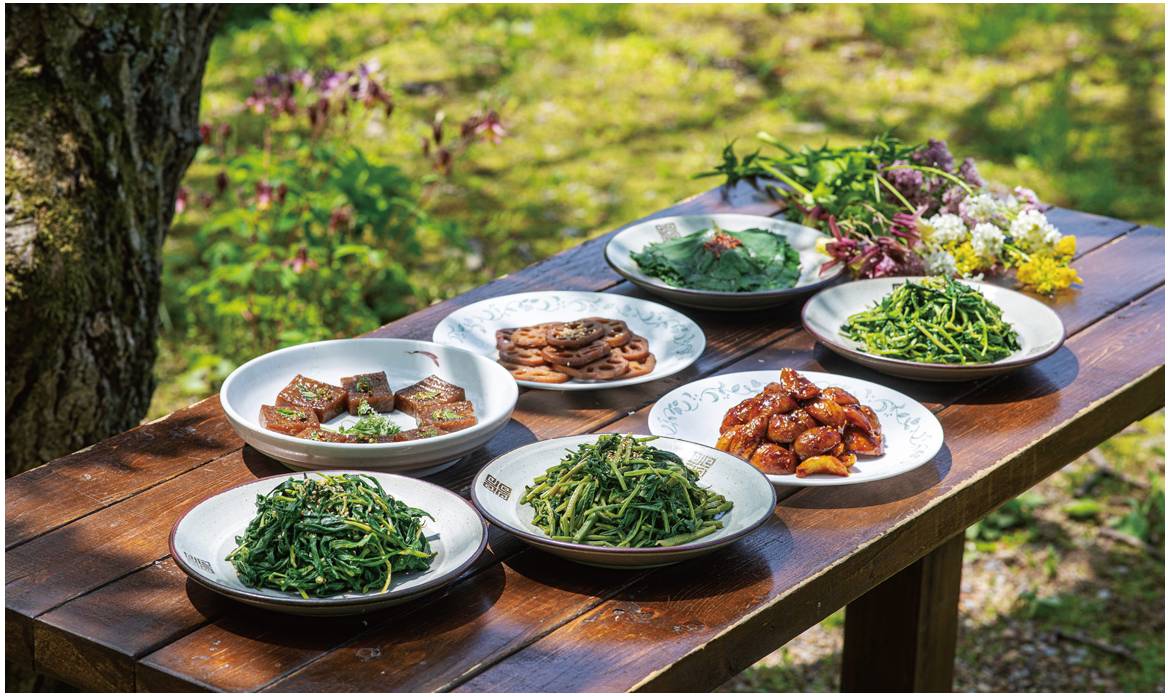 Vegetarian Food in Temple Stay in Korea 2023