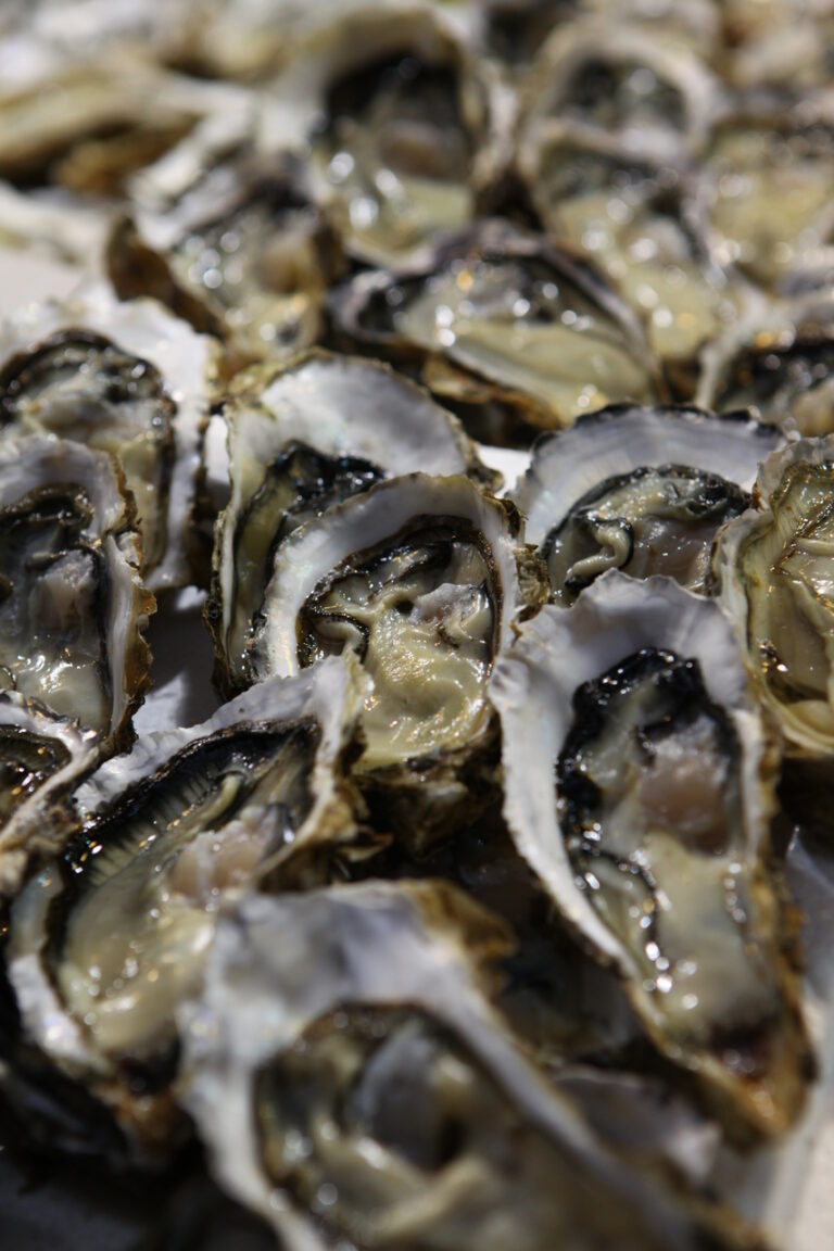 Fresh Oyster in Market